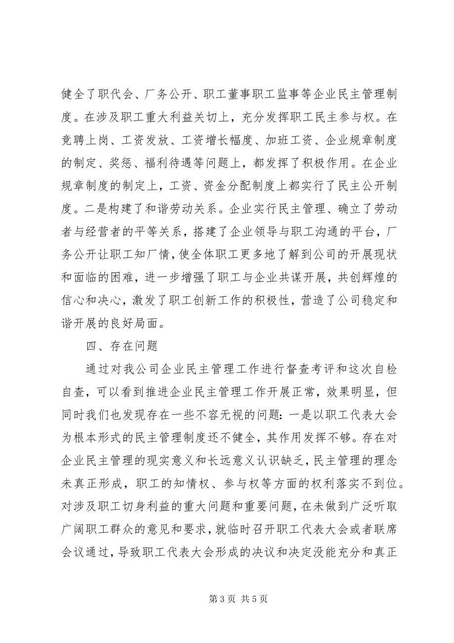 2023年企业民主管理自查报告.docx_第3页