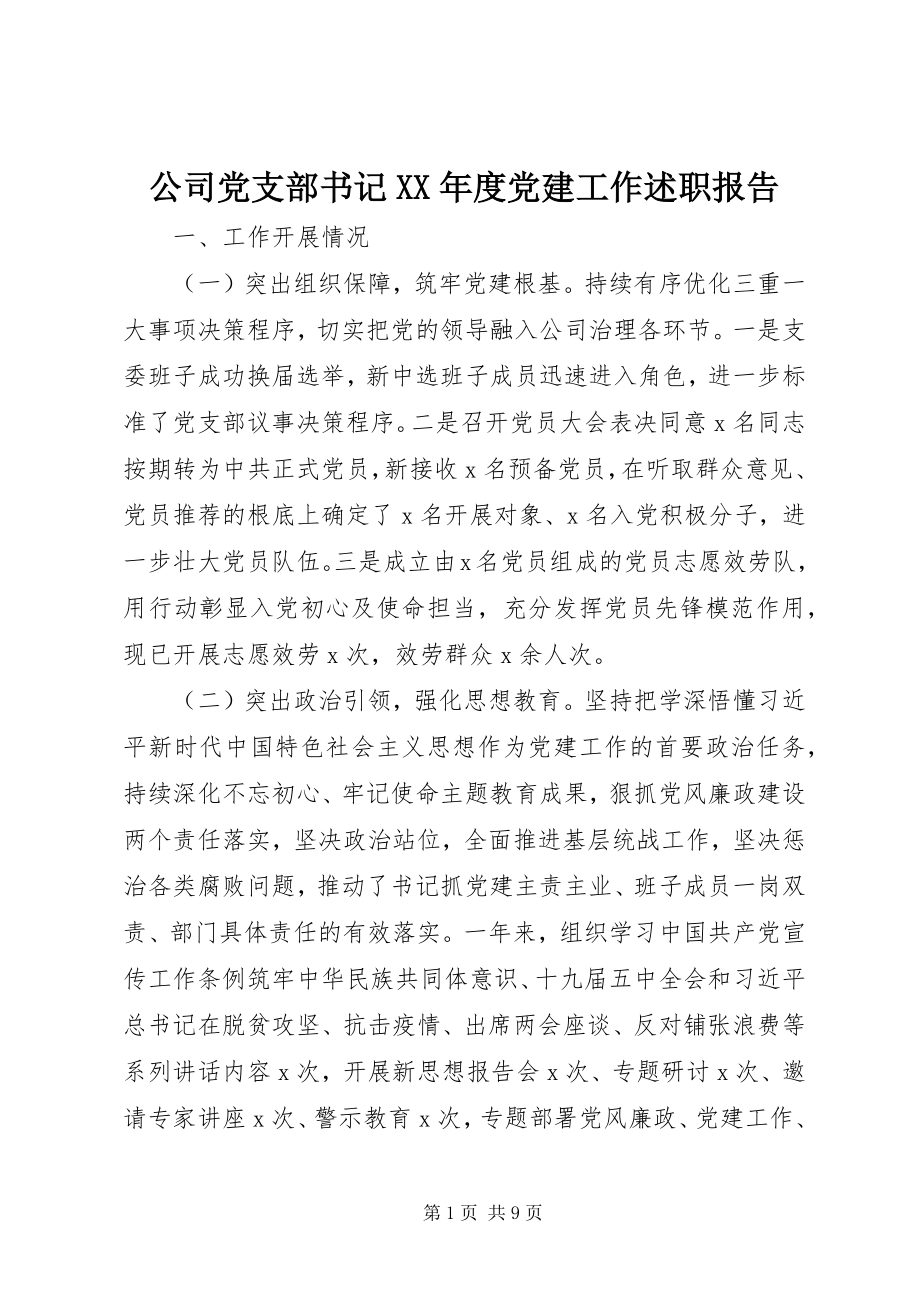 2023年公司党支部书记某年度党建工作述职报告.docx_第1页