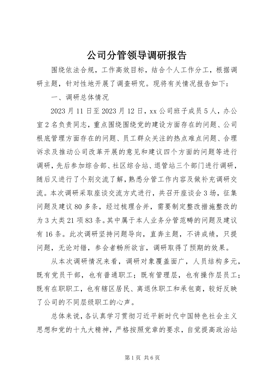 2023年公司分管领导调研报告.docx_第1页