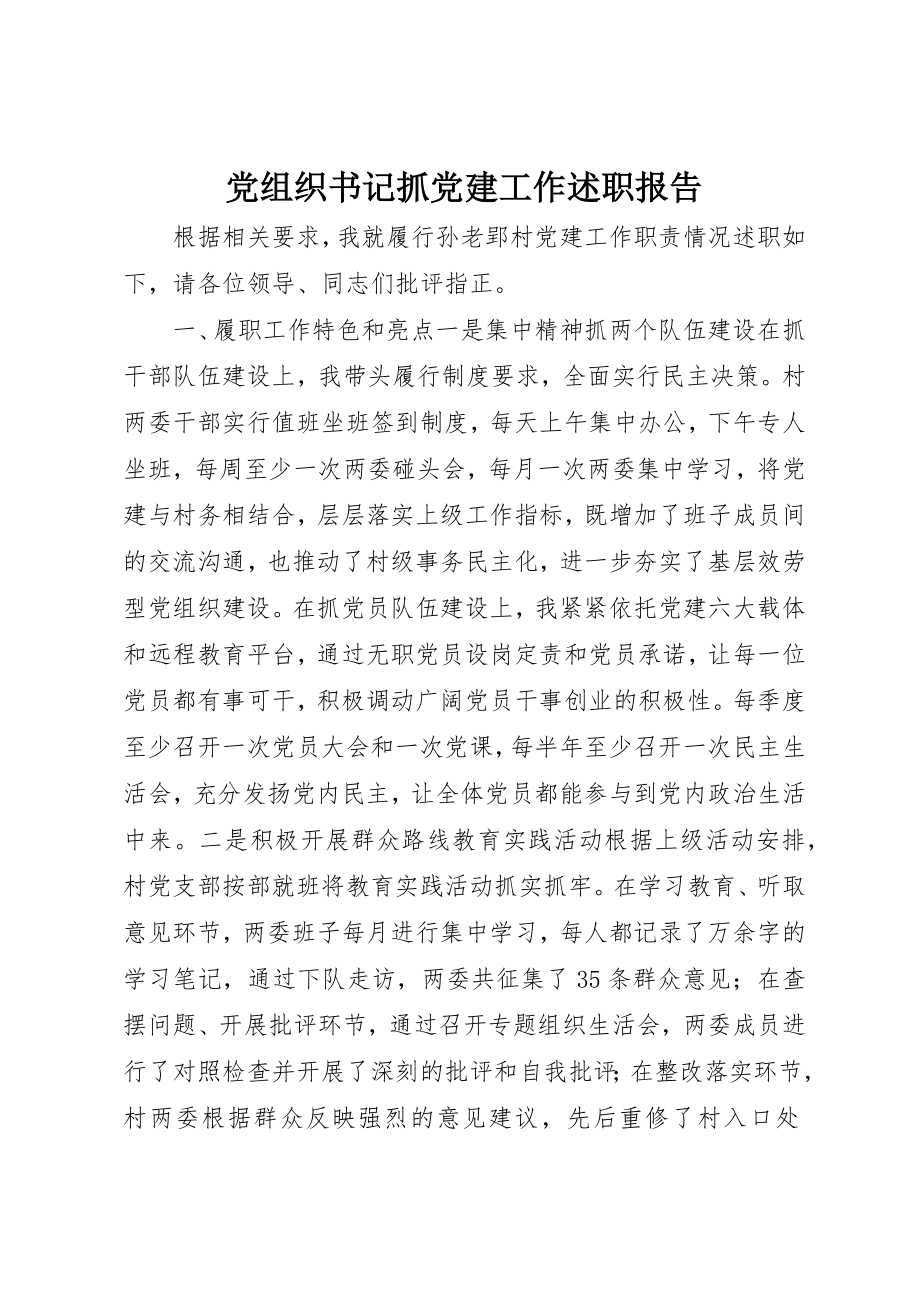 2023年党组织书记抓党建工作述职报告新编.docx_第1页