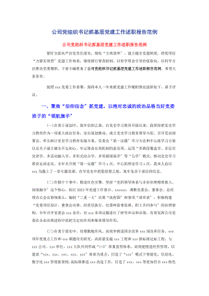 2023年公司党组织书记抓基层党建工作述职报告范例.docx