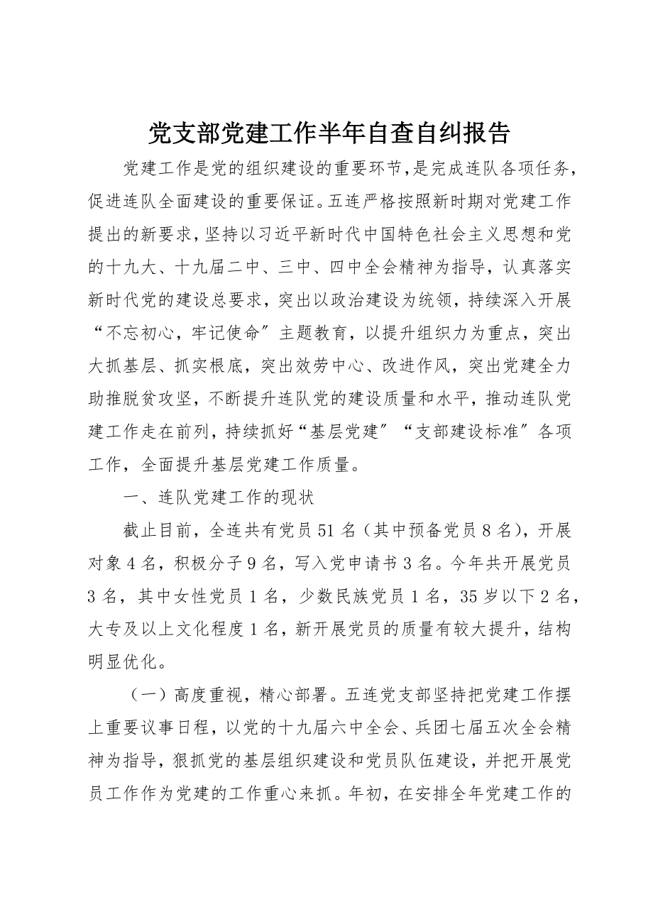 2023年党支部党建工作半年自查自纠报告.docx_第1页