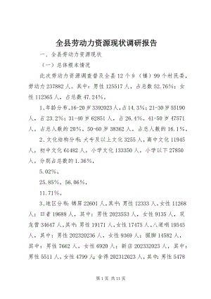 2023年全县劳动力资源现状调研报告.docx