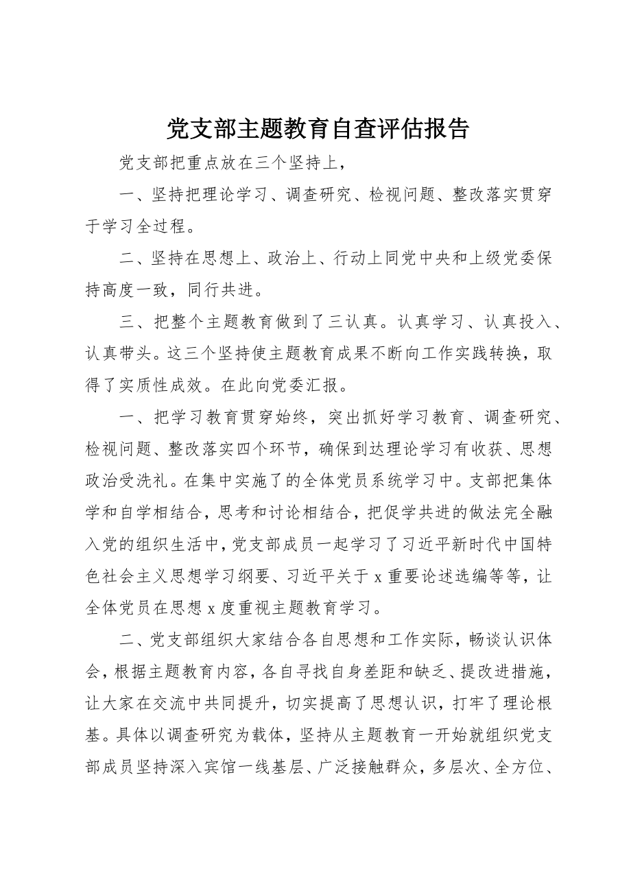 2023年党支部主题教育自查评估报告.docx_第1页