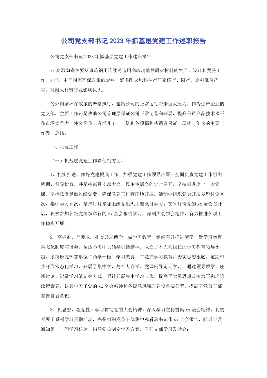 2023年公司党支部书记抓基层党建工作述职报告.docx_第1页