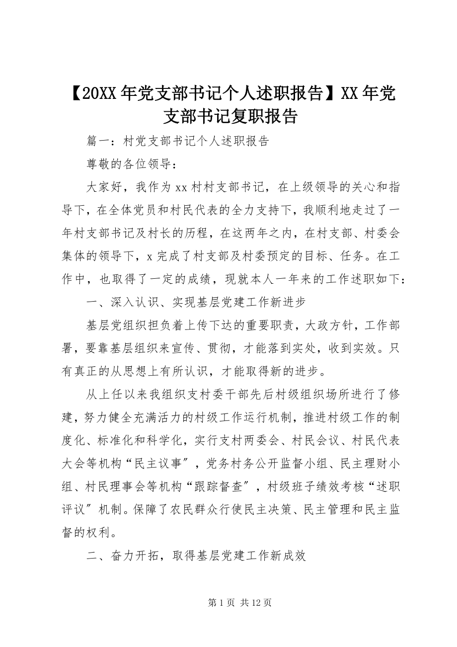 2023年党支部书记个人述职报告党支部书记复职报告.docx_第1页