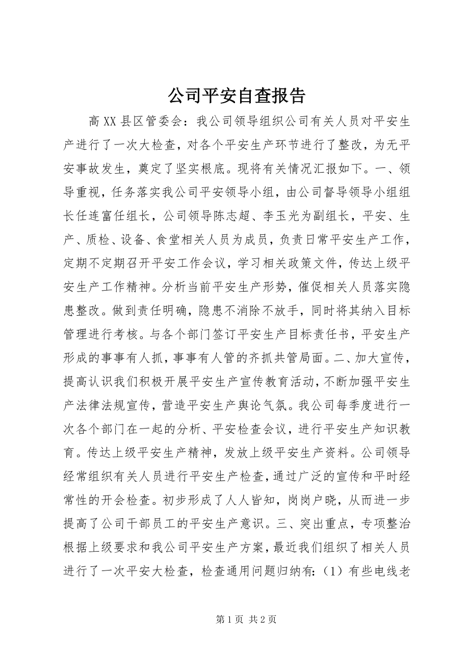 2023年公司安全自查报告.docx_第1页