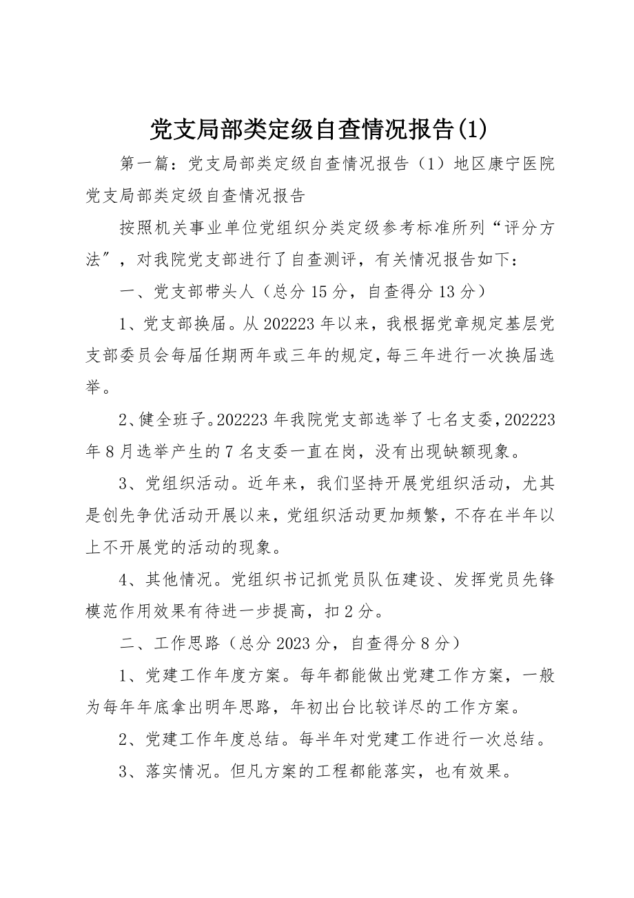 2023年党支部分类定级自查情况报告1.docx_第1页