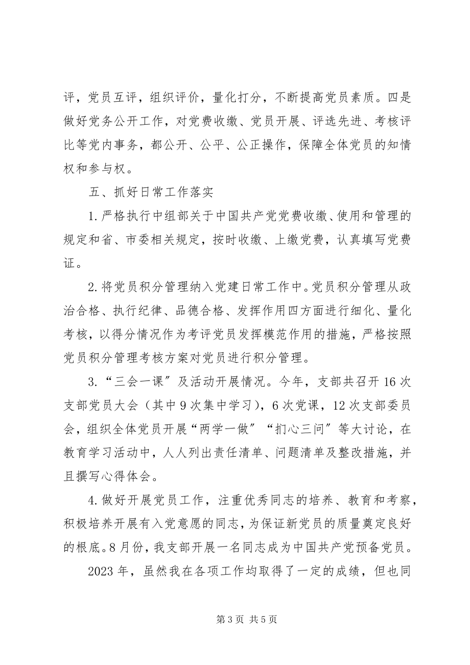 2023年公共交通公司支部书记述职报告.docx_第3页