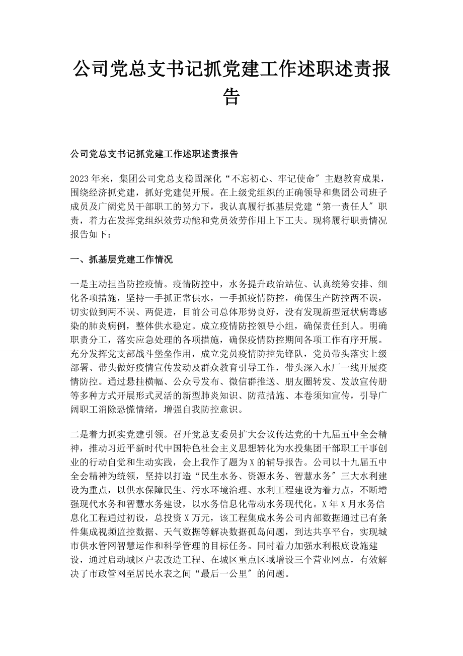 2023年公司党总支书记抓党建工作述职述责报告.docx_第1页