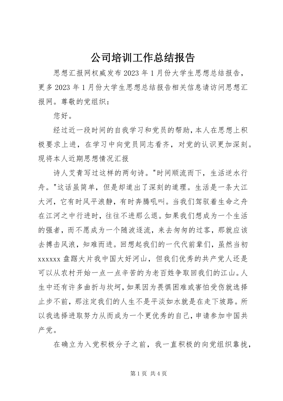 2023年公司培训工作总结报告.docx_第1页