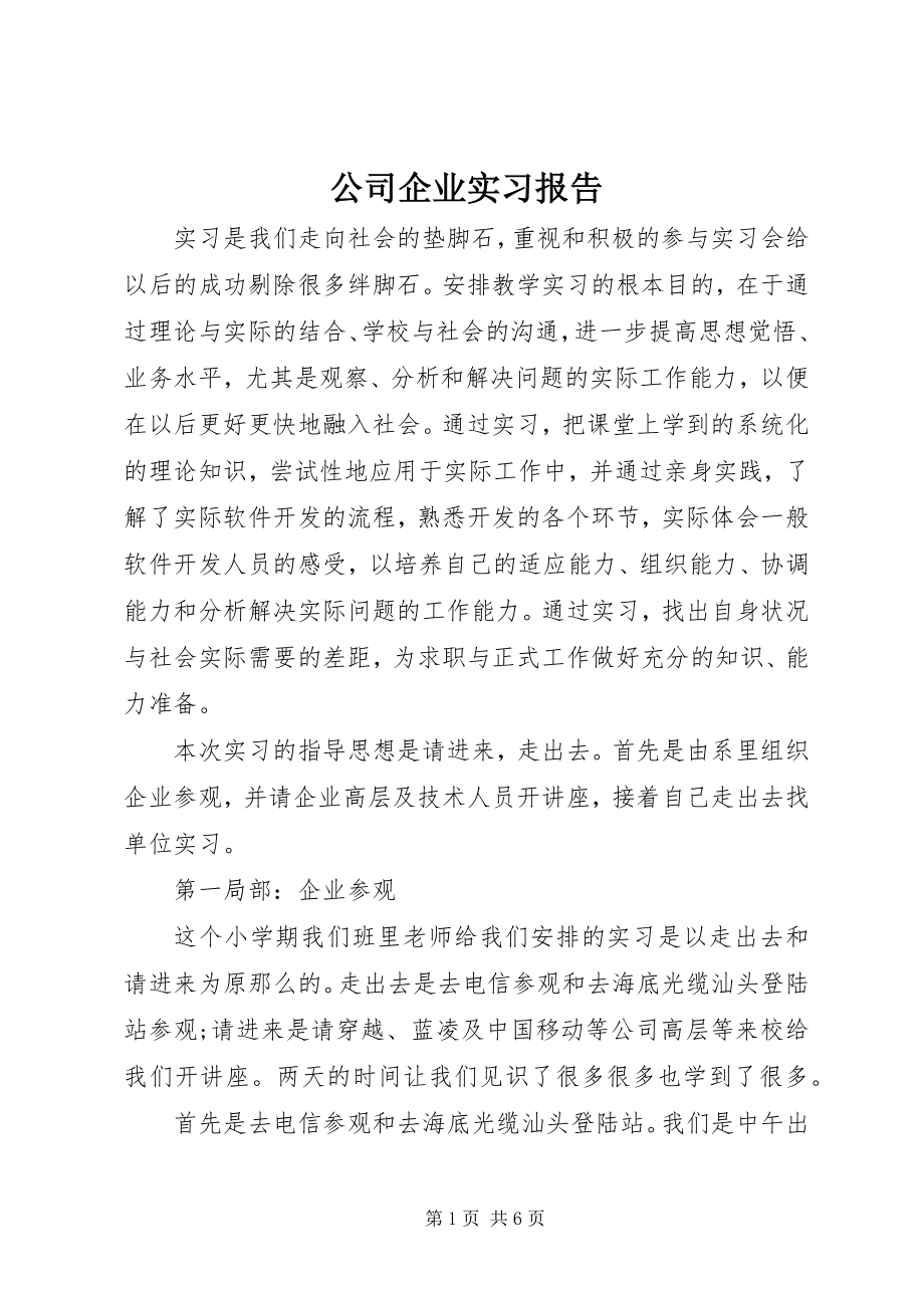 2023年公司企业实习报告.docx_第1页