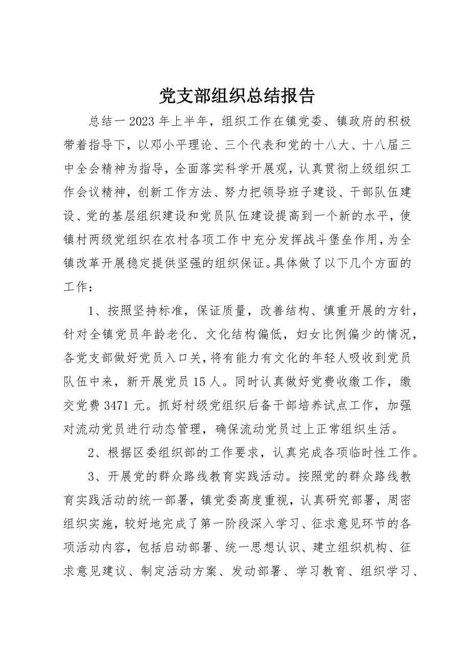 2023年党支部组织总结报告.docx_第1页