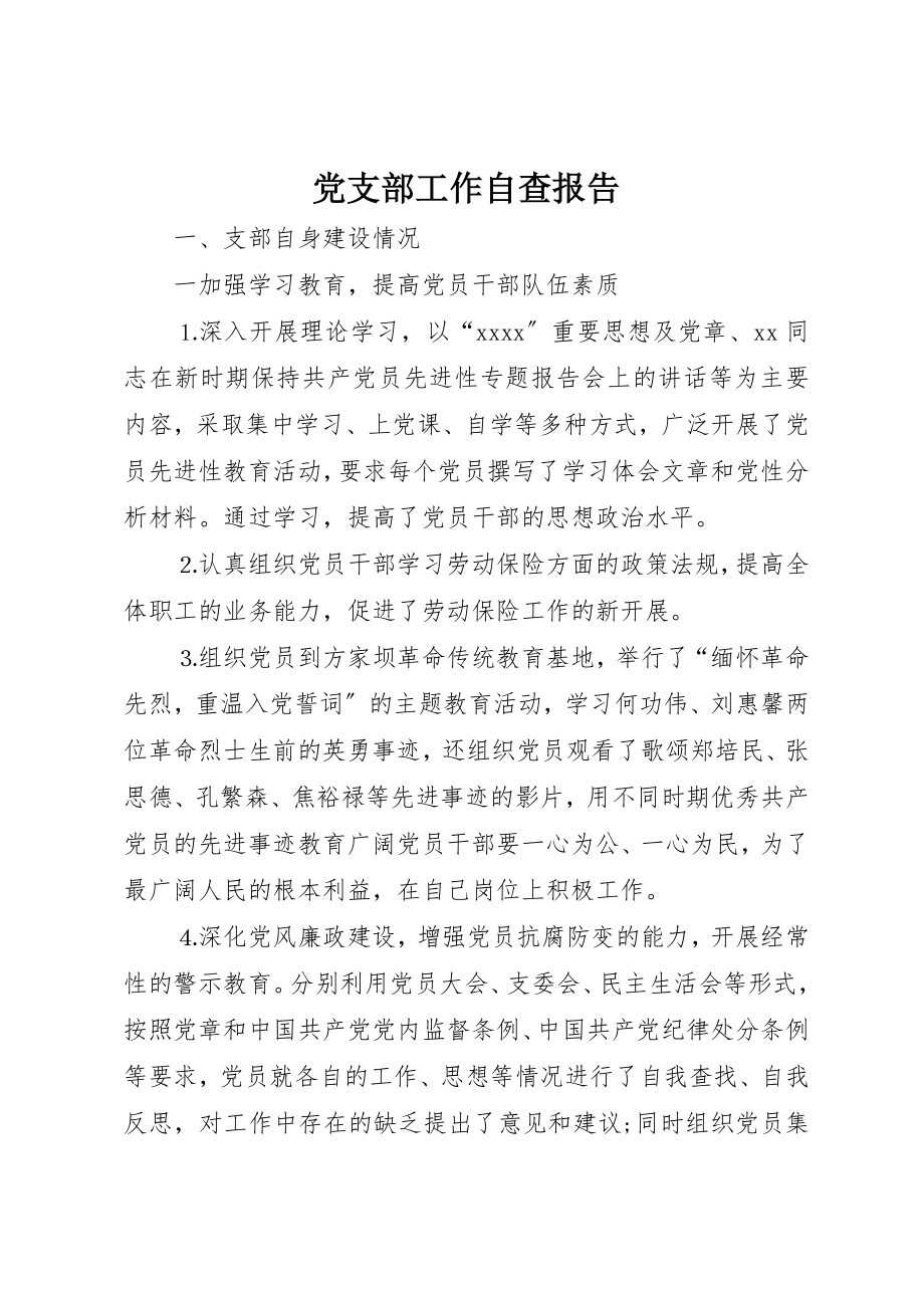 2023年党支部工作自查报告.docx_第1页