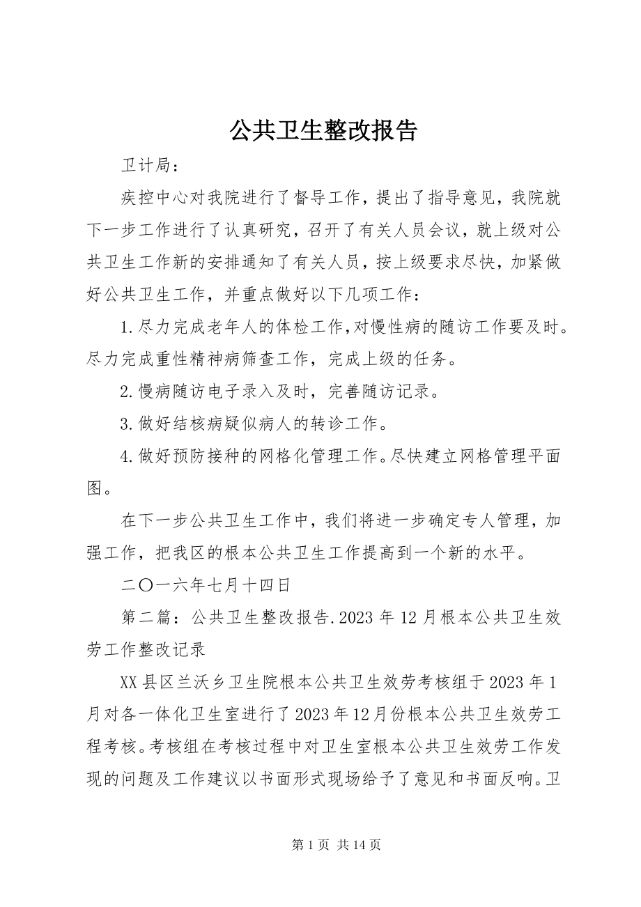 2023年公共卫生整改报告.docx_第1页