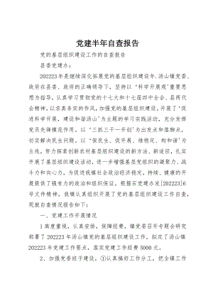 2023年党建半年自查报告.docx