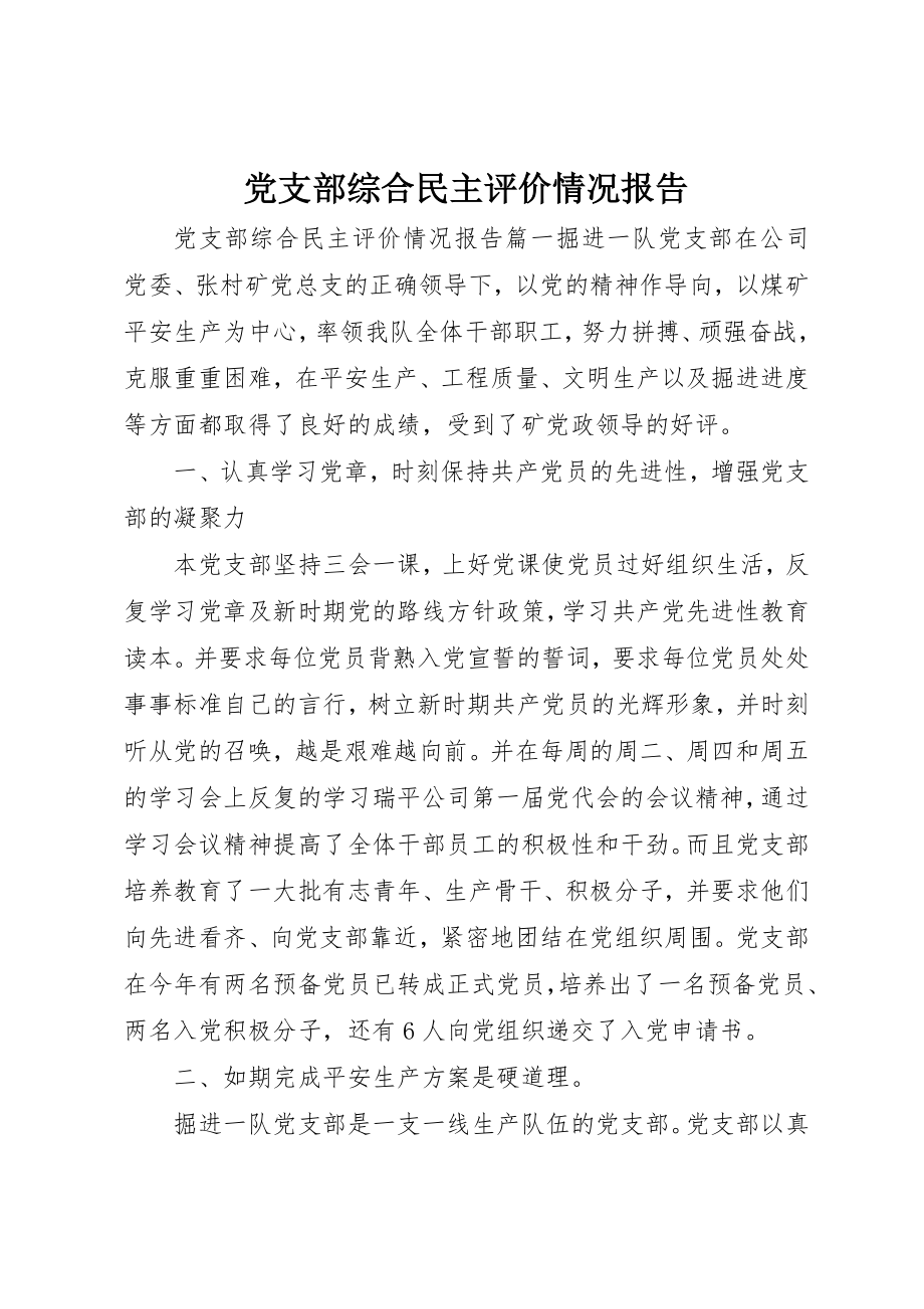 2023年党支部综合民主评价情况报告.docx_第1页