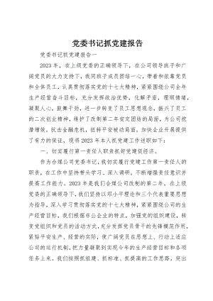 2023年党委书记抓党建报告.docx