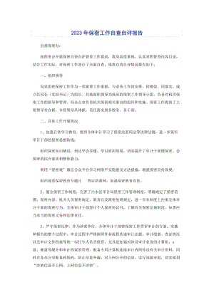 2023年保密工作自查自评报告.docx