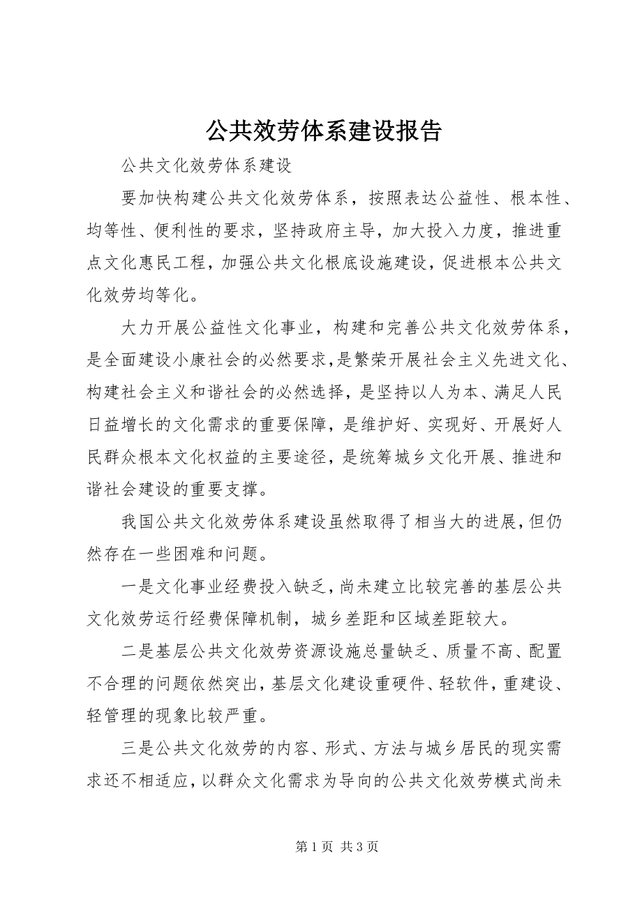 2023年公共服务体系建设报告.docx_第1页