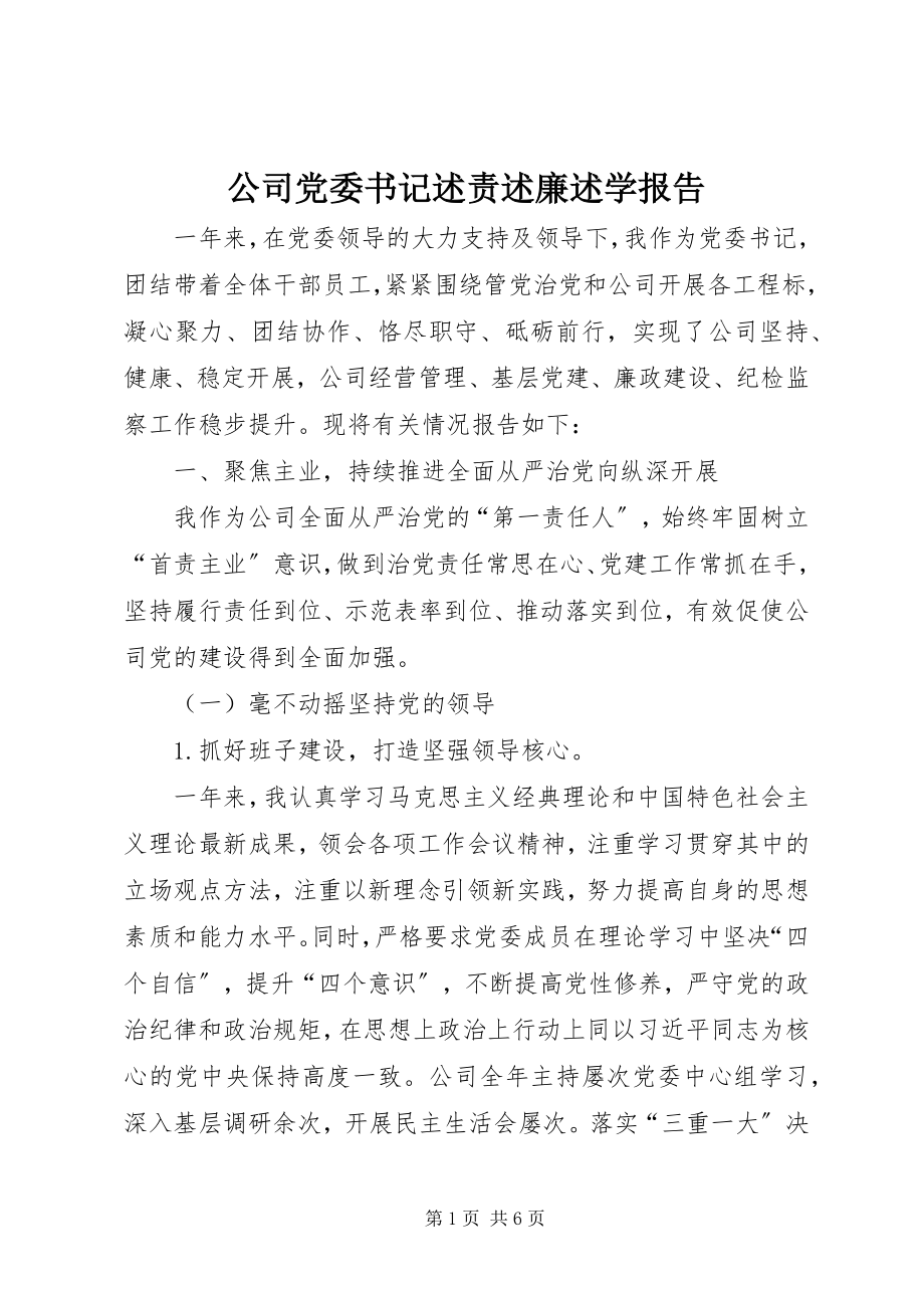 2023年公司党委书记述责述廉述学报告.docx_第1页