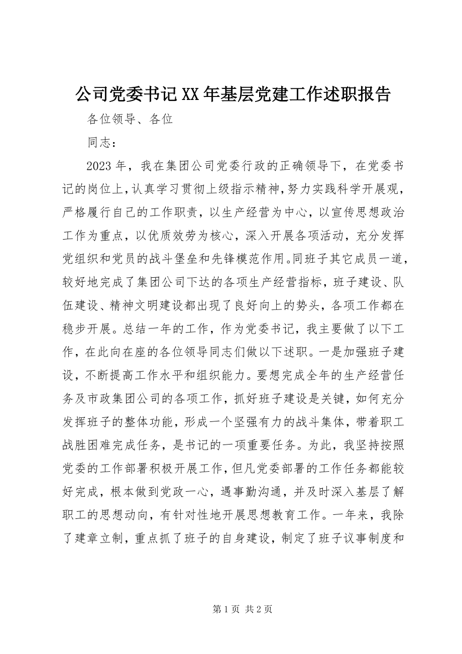 2023年公司党委书记某年基层党建工作述职报告.docx_第1页