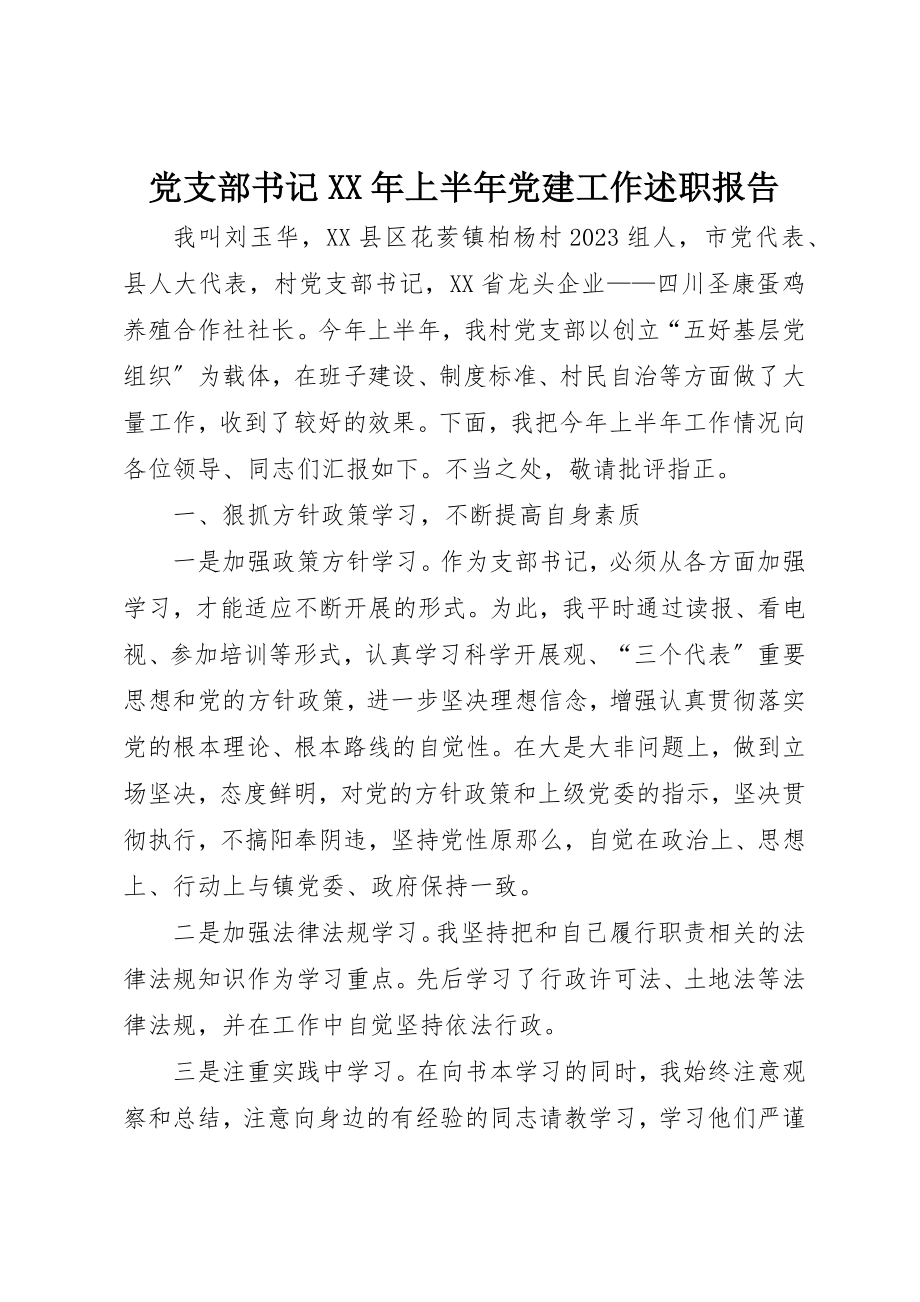 2023年党支部书记某年上半年党建工作述职报告.docx_第1页