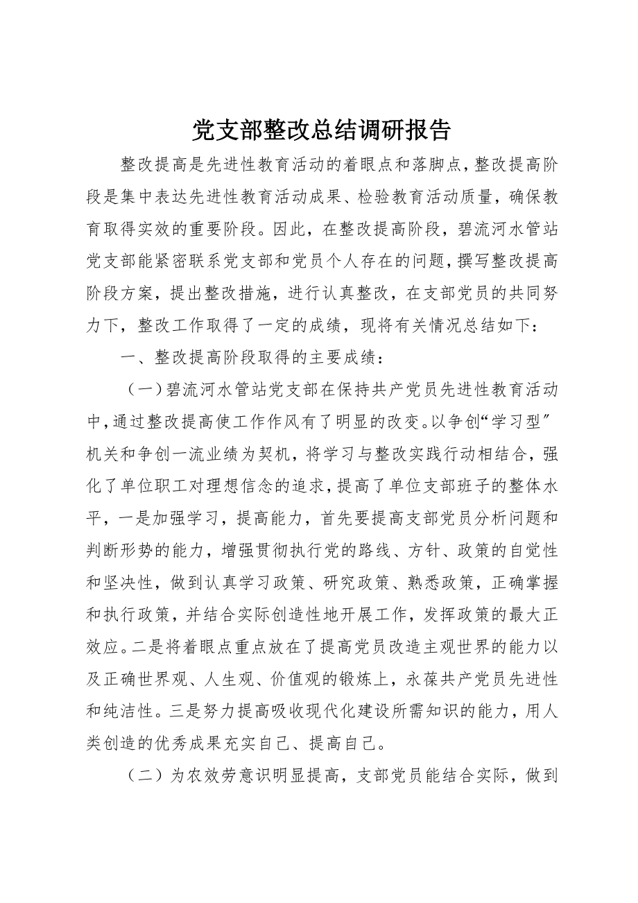 2023年党支部整改总结调研报告.docx_第1页