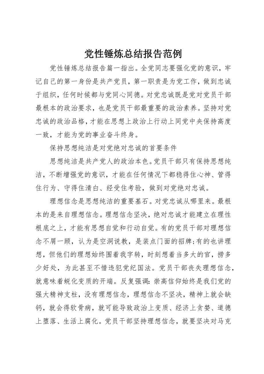 2023年党性锤炼总结报告范例.docx_第1页