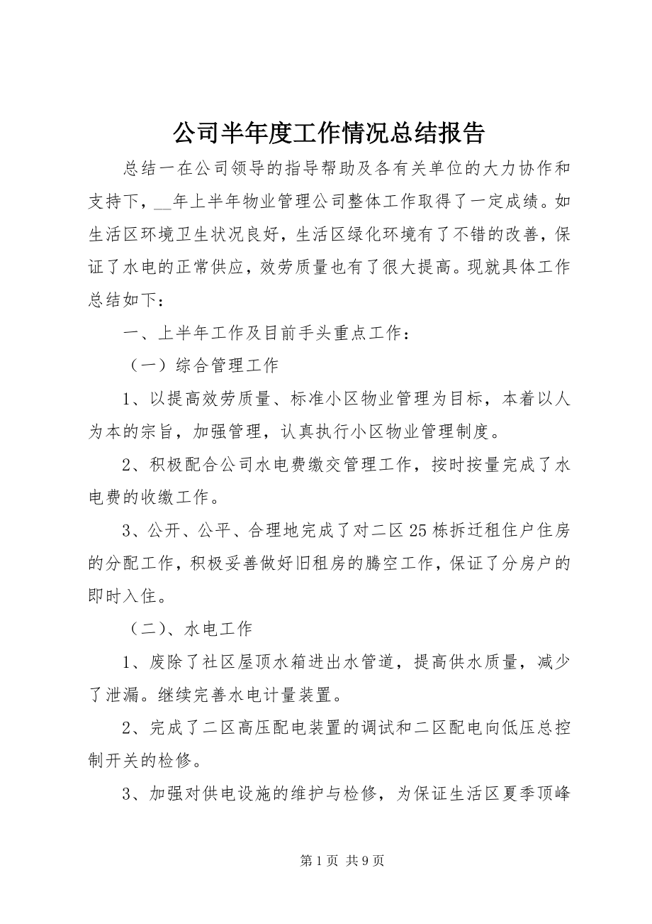 2023年公司半年度工作情况总结报告.docx_第1页