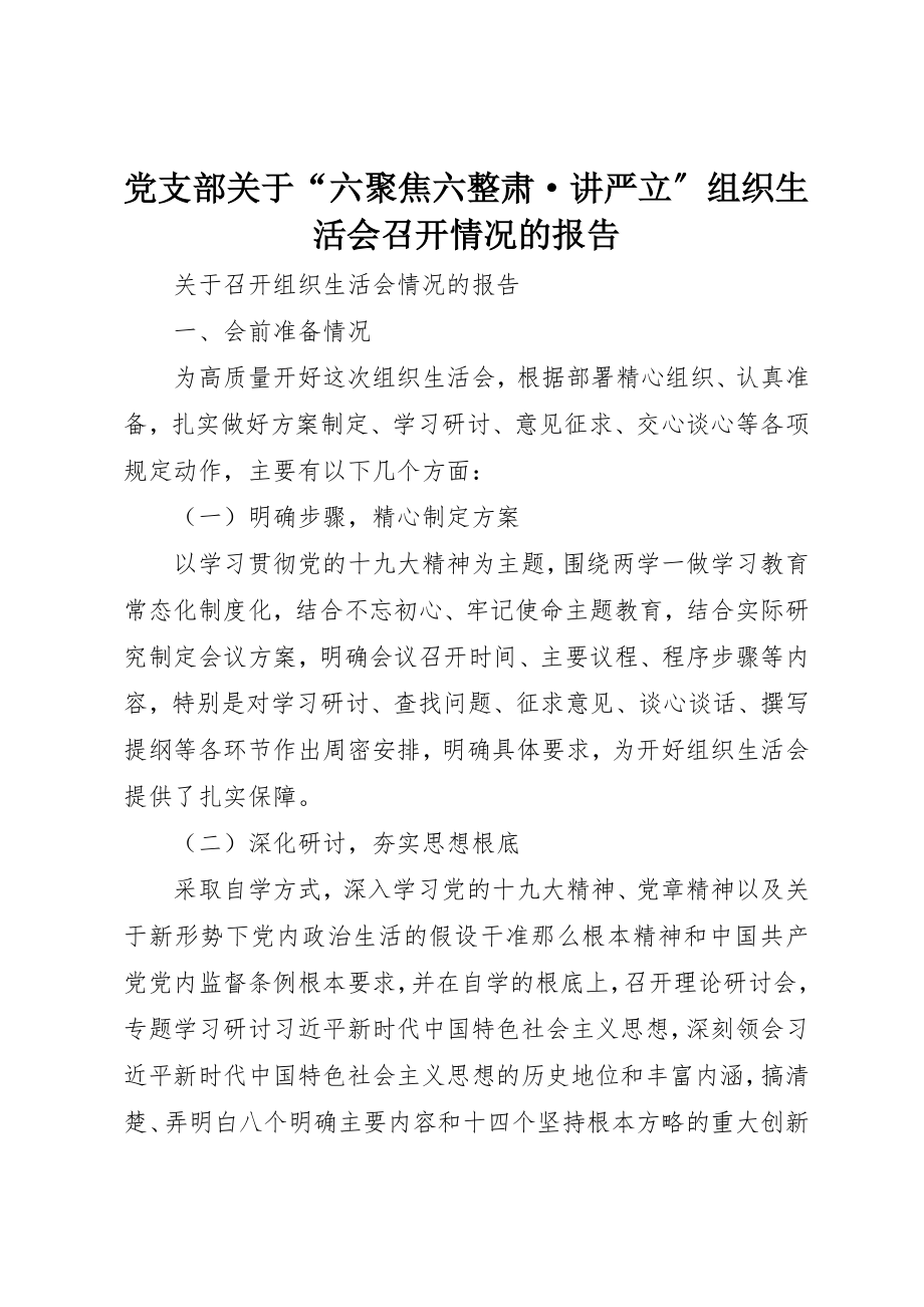 2023年党支部“六聚焦六整肃·讲严立”组织生活会召开情况的报告.docx_第1页