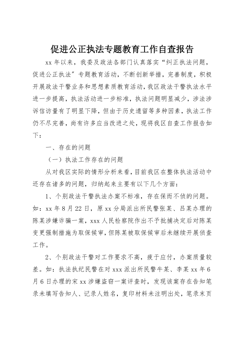 2023年促进公正执法专题教育工作自查报告.docx_第1页