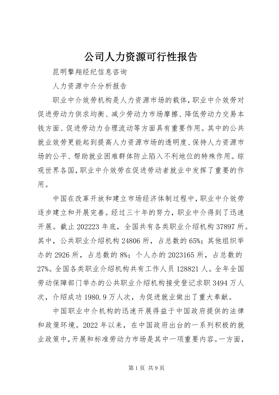 2023年公司人力资源可行性报告.docx_第1页