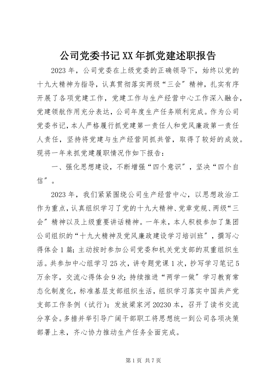 2023年公司党委书记某年抓党建述职报告.docx_第1页