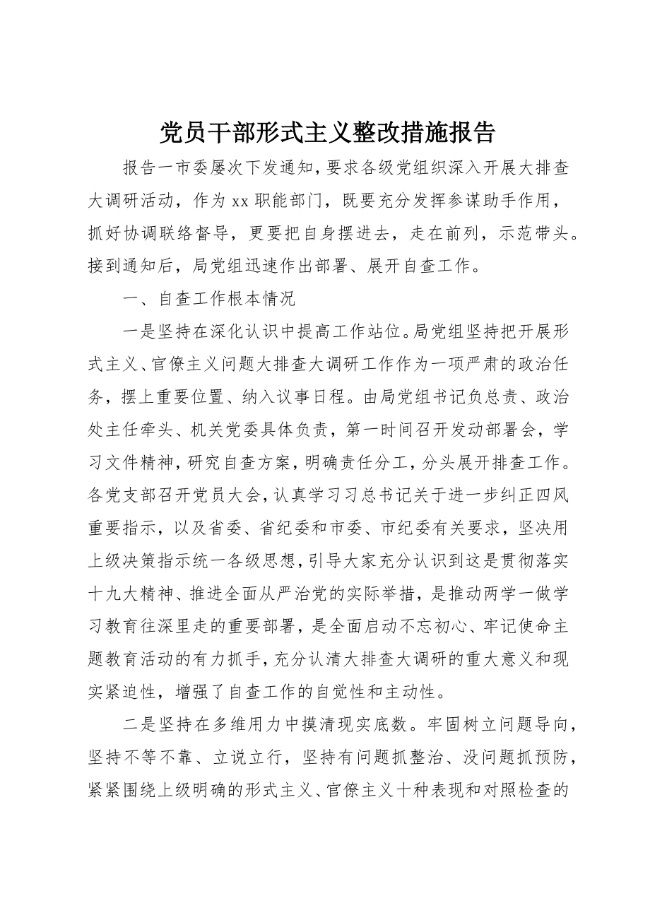 2023年党员干部形式主义整改措施报告.docx_第1页