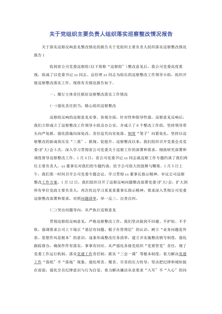 2023年党组织主要负责人组织落实巡察整改情况报告.docx_第1页