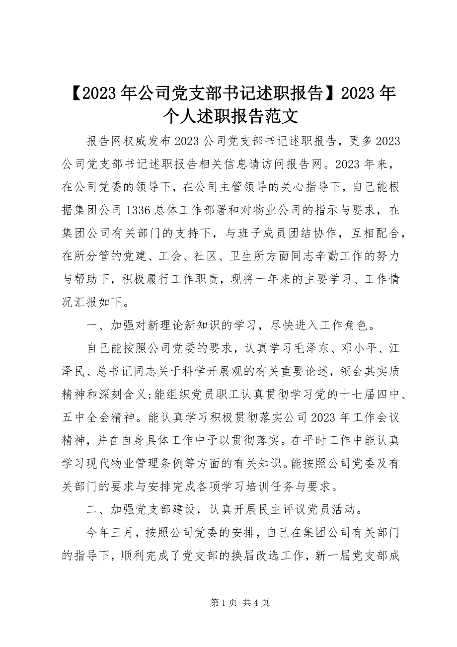 2023年公司党支部书记述职报告个人述职报告新编.docx_第1页