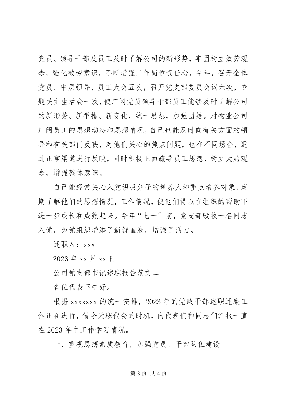 2023年公司党支部书记述职报告个人述职报告新编.docx_第3页