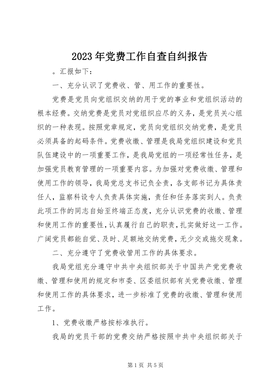 2023年党费工作自查自纠报告.docx_第1页