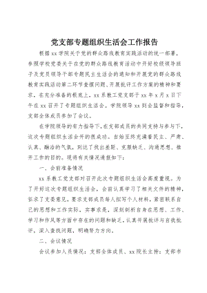 2023年党支部专题组织生活会工作报告.docx