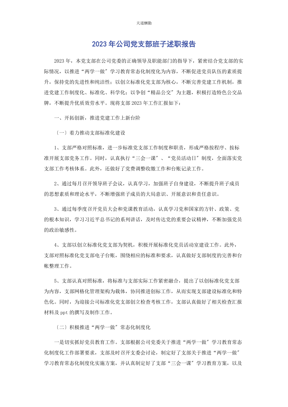 2023年公司党支部班子述职报告.docx_第1页