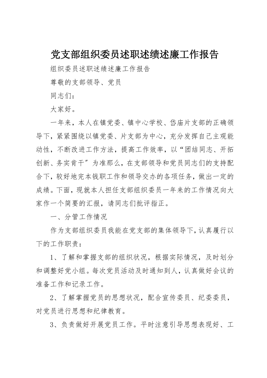 2023年党支部组织委员《述职述绩述廉》工作报告.docx_第1页