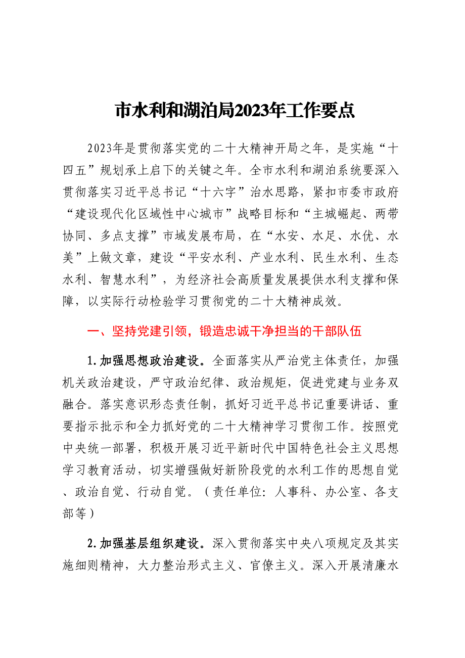 市水利和湖泊局2023年工作要点.docx_第1页