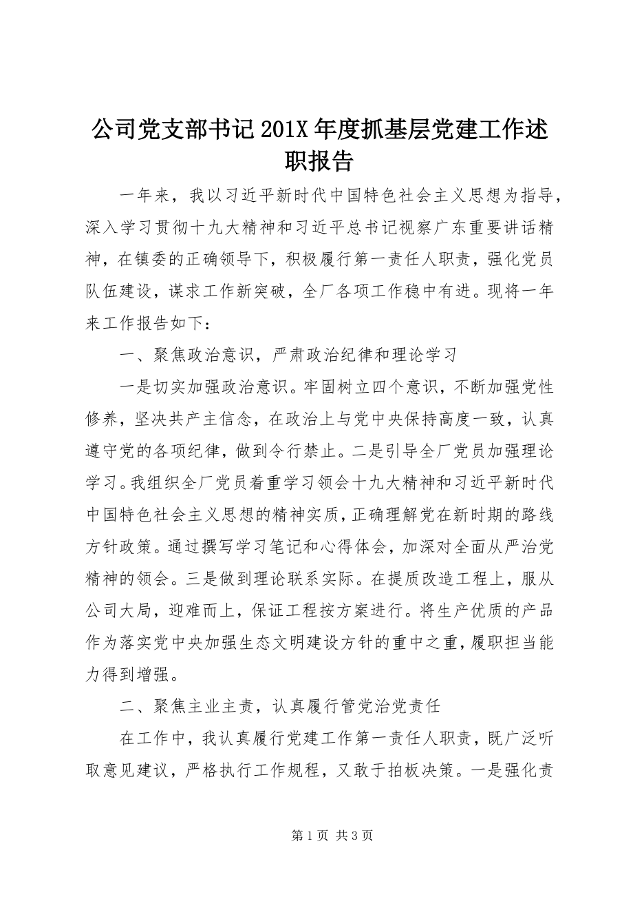 2023年公司党支部书记度抓基层党建工作述职报告.docx_第1页