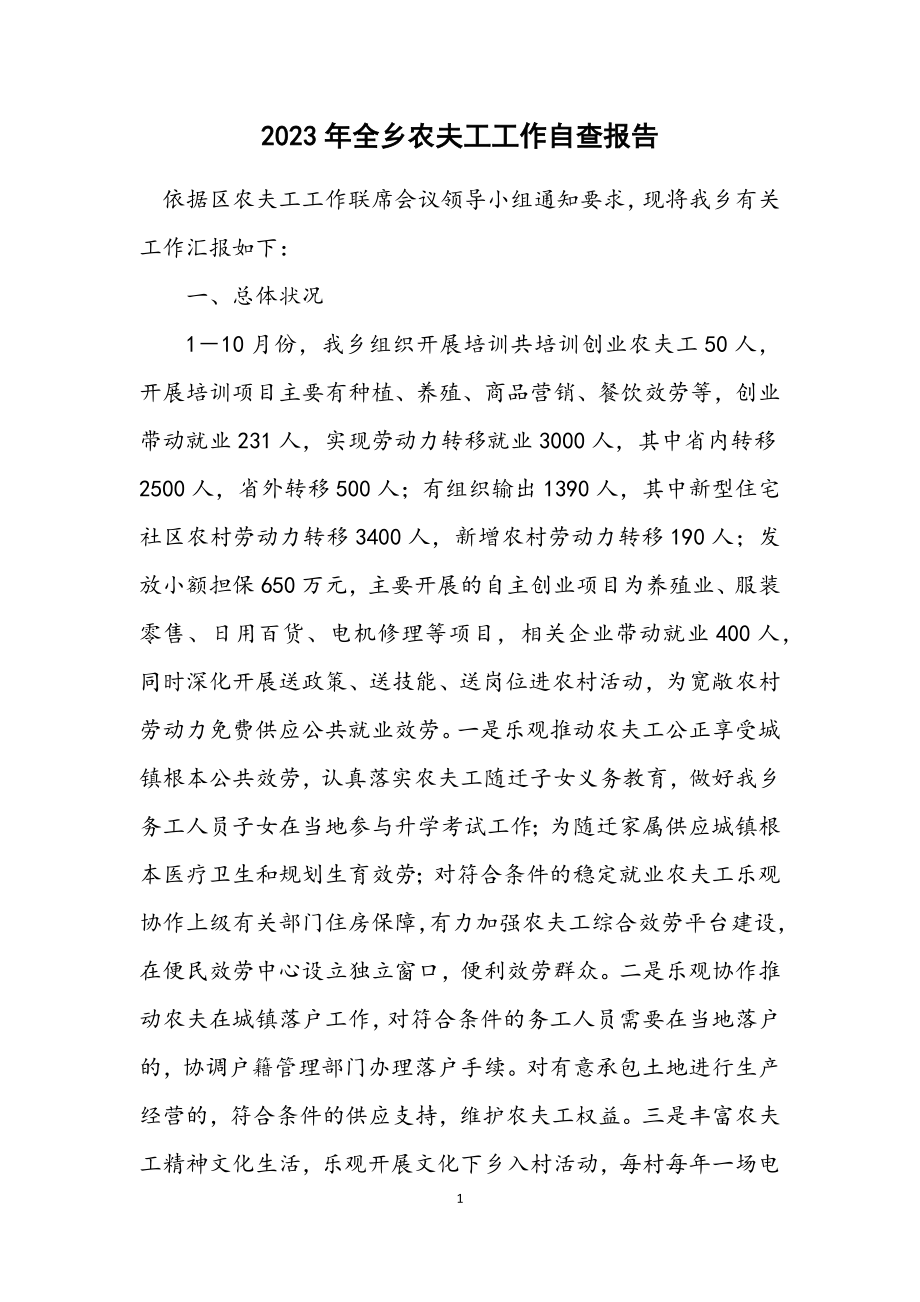 2023年全乡农民工工作自查报告.docx_第1页