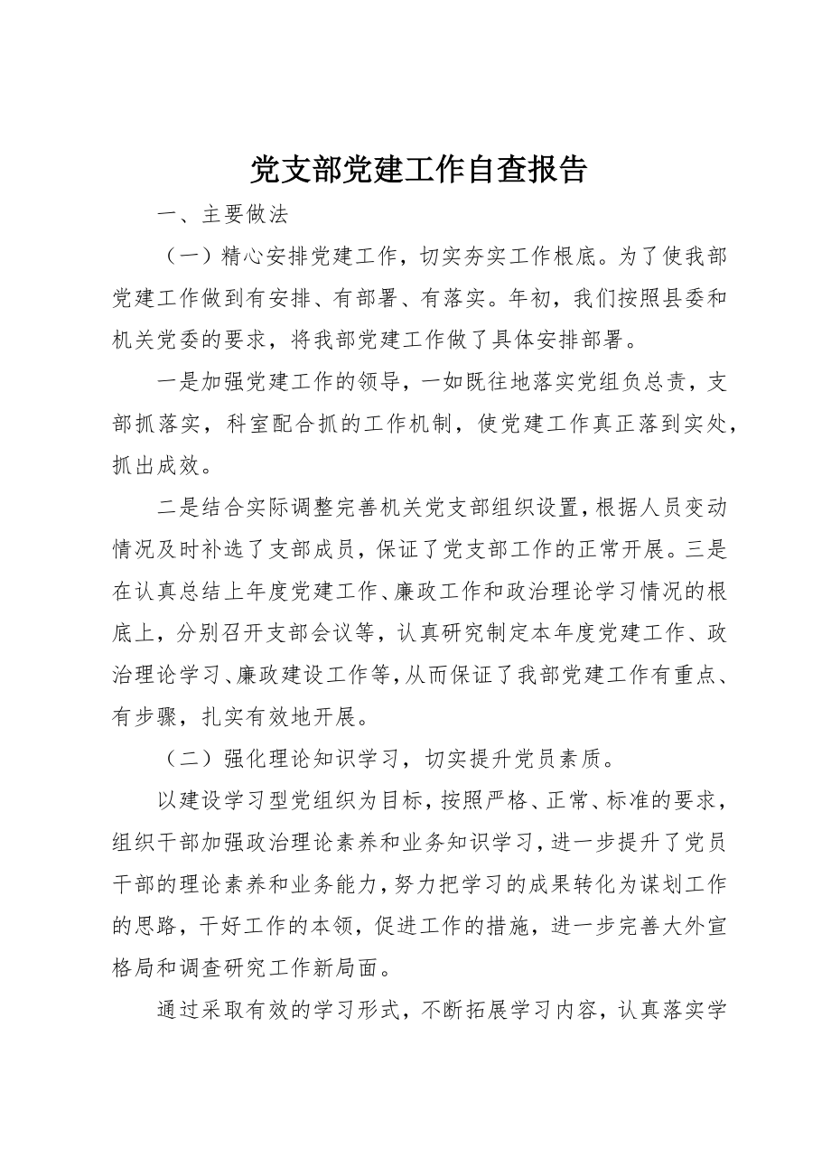 2023年党支部党建工作自查报告.docx_第1页