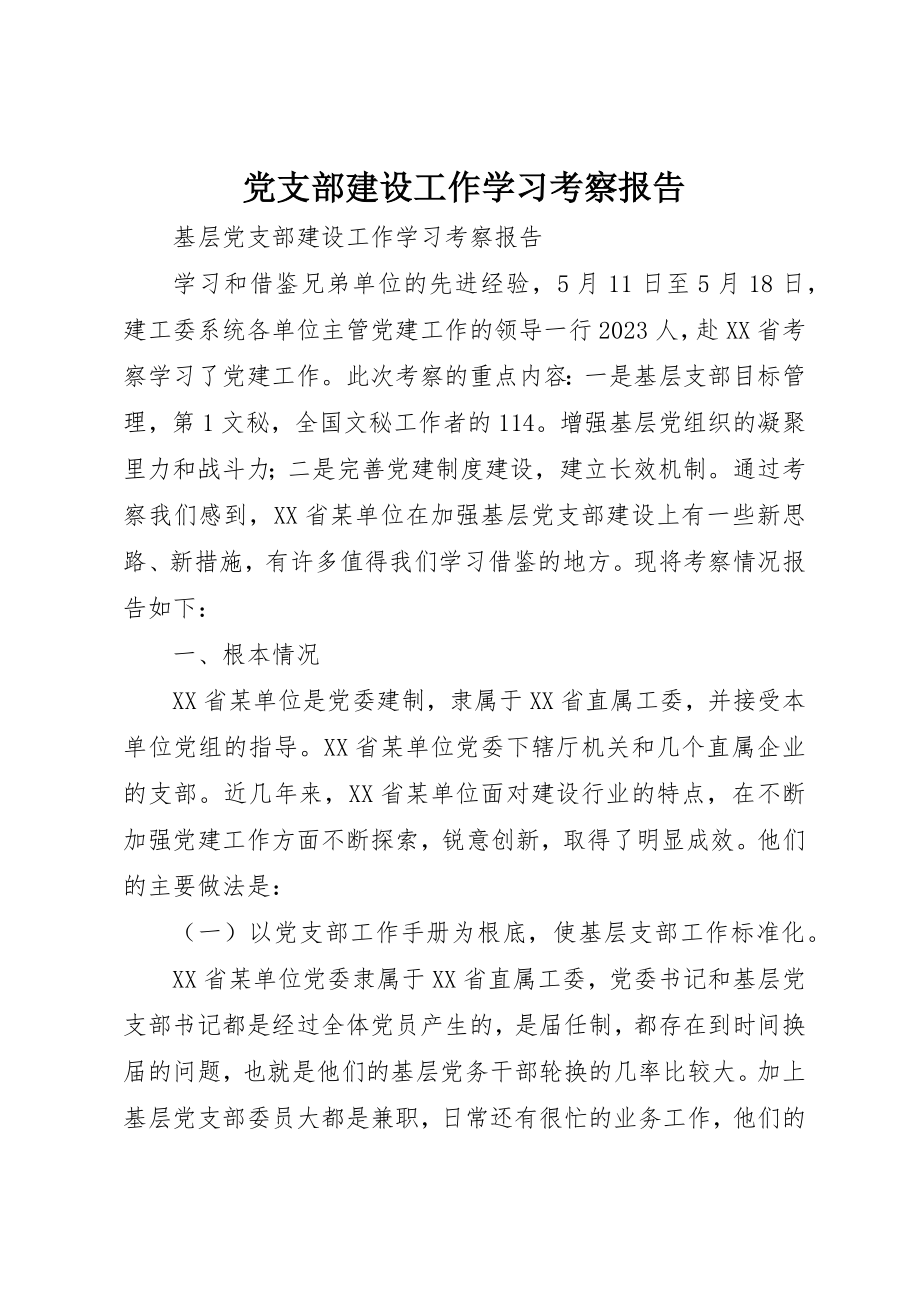 2023年党支部建设工作学习考察报告.docx_第1页