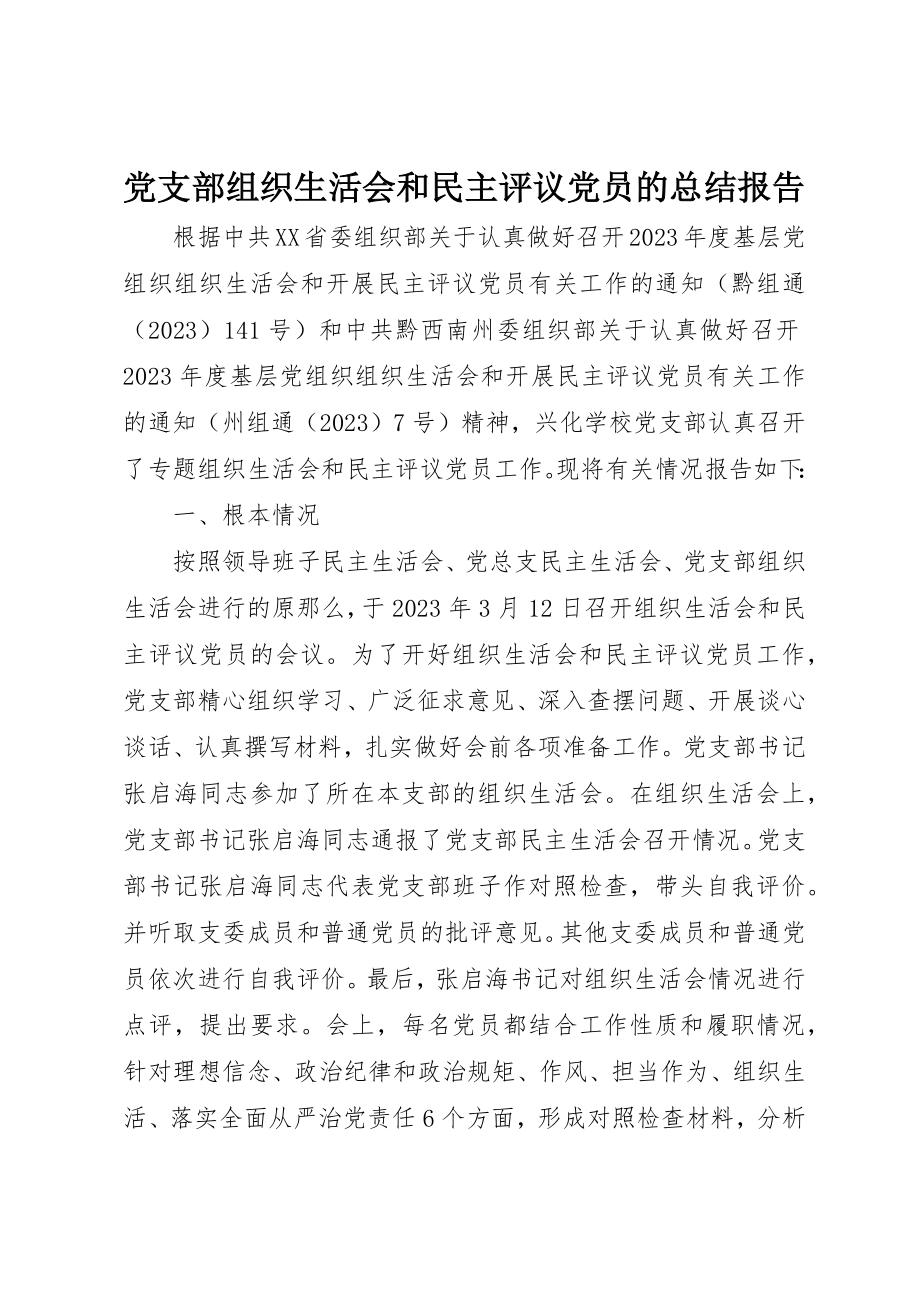 2023年党支部组织生活会和民主评议党员的总结报告.docx_第1页