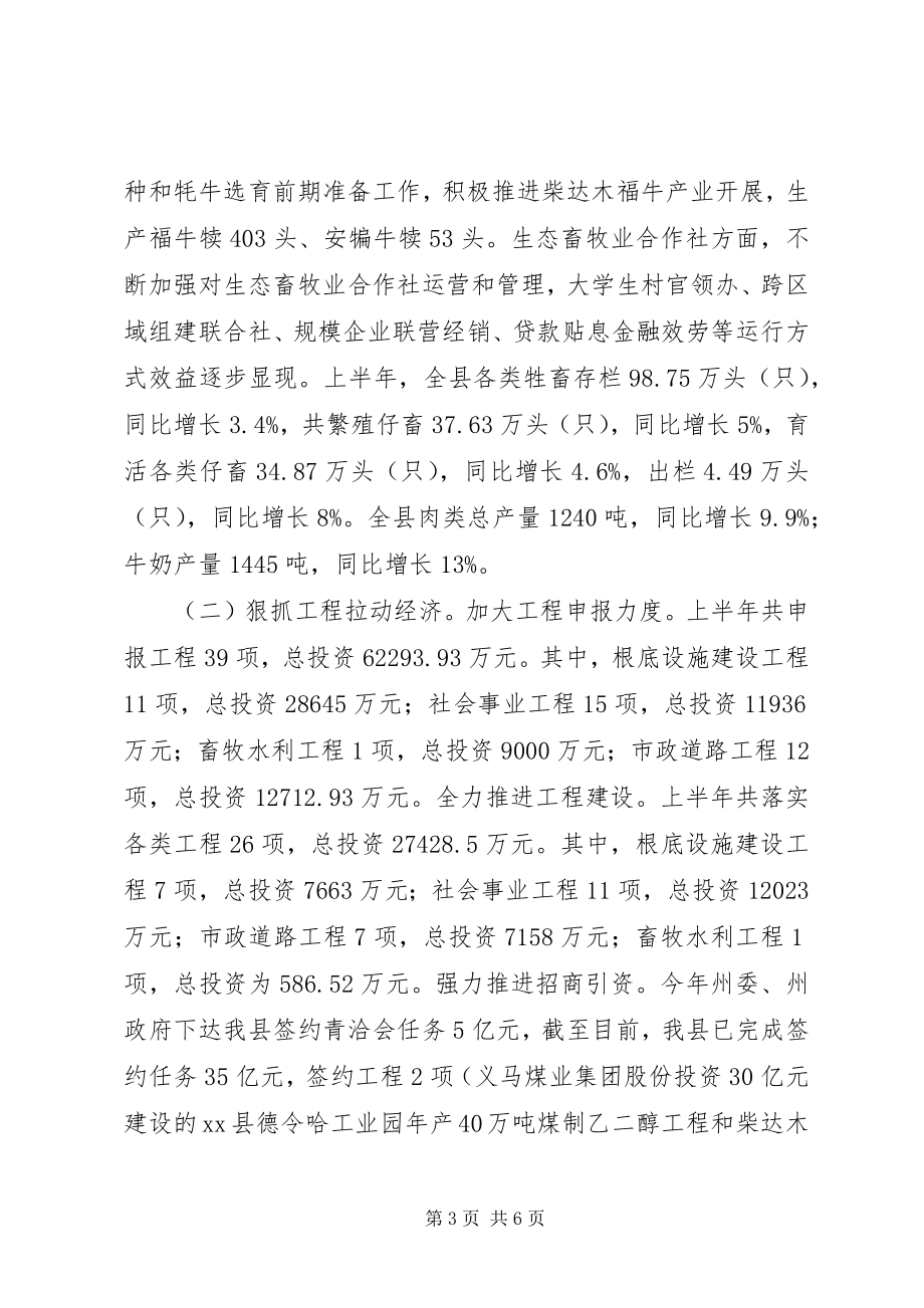 2023年全县经济形势分析会致辞稿.docx_第3页