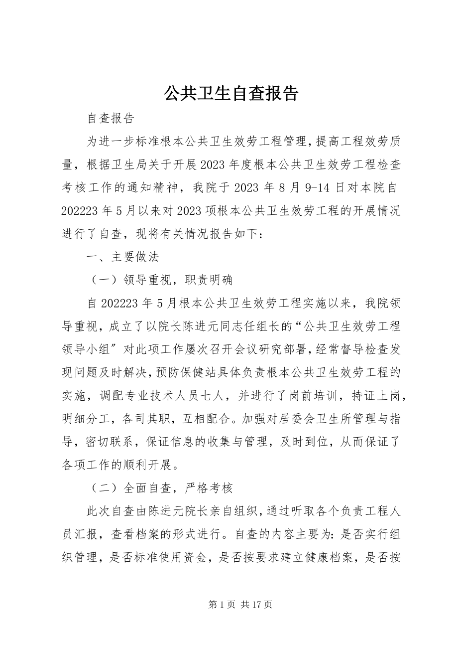 2023年公共卫生自查报告.docx_第1页